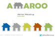 Amaroo pitch-short-v5