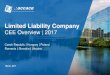 Limited Liability Company in Central and Eastern Europe | 2017 Overview
