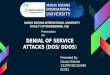 Denial of Service Attacks (DoS/DDoS)