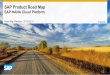 Road Map: SAP HANA Cloud Platform