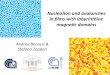 Nucleation and avalanches in film with labyrintine magnetic domains