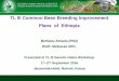 TL III Genetic Gains Program improvement plan_common bean_Ethiopia