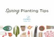 Spring Planting Tips