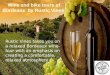 Enjoy wine  tours of Bordeaux  by rustic vines