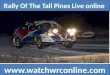 Rally Of The Tall Pines Online