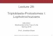 BIS2C: Lecture 28: Lophotrochozoans