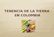LA TENENCIA DE LA TIERRA EN COLOMBIA