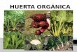 Huerta orgánica