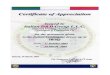 ID&DG certificate of appreciation Iraq