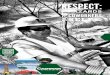 Safety Poster Respect 041615