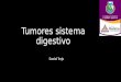 Tumores sistema digestivo imagenologia