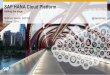 SAP HANA Cloud Platform - Setting the stage