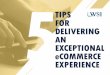 5 Consejos Para Crear Una Experiencia Excepcional de eCommerce