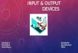 Input  output devices