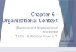 Organizational Context - Processes