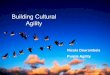 Building Cultural Agility