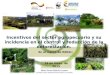 The impact of agricultural incentives on the control and reduction of deforestation, Colombia