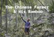 THE CHINESE FARMER AND HIS BAMBOO