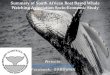 Socio-economic impact of boat-based whale watching in South Africa