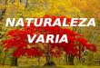 Naturaleza Varia