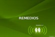 OFFER - Remedios - flamenco music group