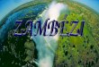 Zambezi pps 4718 138811