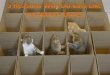 5 Reasons Why do Cats Like Cardboard Boxes