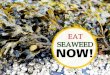 Healthy living: EAT SEAWEED NOW!