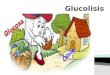 Glucolisis ciclo metabolico