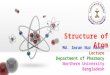 Structure of atom manik 2