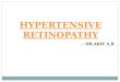 Hypertensive retinopathy and diabetic retinopathy