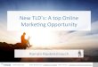 New TLDs: A top Online Marketing Opportunity (Den Haag)