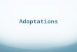 Adaptations. What is an adaptation? An adjustment or change in the structure or behavior of an organism that makes it more suited to its environment