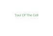 Tour Of The Cell. Microscopy What is the difference between magnification and resolving power? Magnification is how much larger the object can now appear