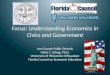 Focus: Understanding Economics in Civics and Government Lee County Public Schools Mark C. Schug, Ph.D. University of Wisconsin-Milwaukee Florida Council