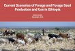 Current Scenarios of Forage and Forage Seed Production and Use in Ethiopia Getnet Assefa November, 2015