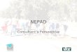 NEPAD Consultant’s Perspective. Nepad Objectives Democracy and Good Political Governance Economic and Corporate Governance Socio-Economic Development