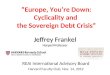 “Europe, You’re Down: Cyclicality and the Sovereign Debt Crisis” REAI International Advisory Board Harvard Faculty Club, Nov. 14, 2012 Jeffrey Frankel