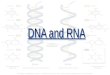 DNA and RNA  – DNA image
