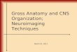 Gross Anatomy and CNS Organization; Neuroimaging Techniques March 31, 2011