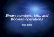 Binary numbers, bits, and Boolean operations CSC 2001