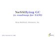1 CPAC: November 10, 2005 NeSSIfying GC (a roadmap for SAM) Brian Rohrback, Infometrix, Inc