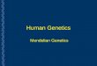 Human Genetics Mendelian Genetics