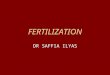 FERTILIZATION DR SAFFIA ILYAS. Fertilization, the process by which male and female gametes fuse, occurs in the ampullary region of the uterine tube. This