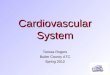 Cardiovascular System Teresa Rogers Butler County ATC Spring 2012