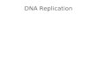 DNA Replication. Learning Targets Describe the replication of DNA. Explain semi-conservative replication and why it is important
