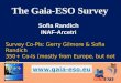 The Gaia-ESO Survey Sofia Randich INAF-Arcetri Survey Co-PIs: Gerry Gilmore & Sofia Randich 350+ Co-Is (mostly from Europe, but not only) 90++ institutes