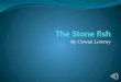 The Stone fish By Cowan Lowrey