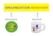 ORGANIZATION BEHAVIOR ORGANIZE BEHAVE. Course Contents