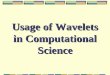 Usage of Wavelets in Computational Science. REU Summer 2005 Florida State University Dr. Gordon Erlebacher (Florida State University) Shahrzad Farshi